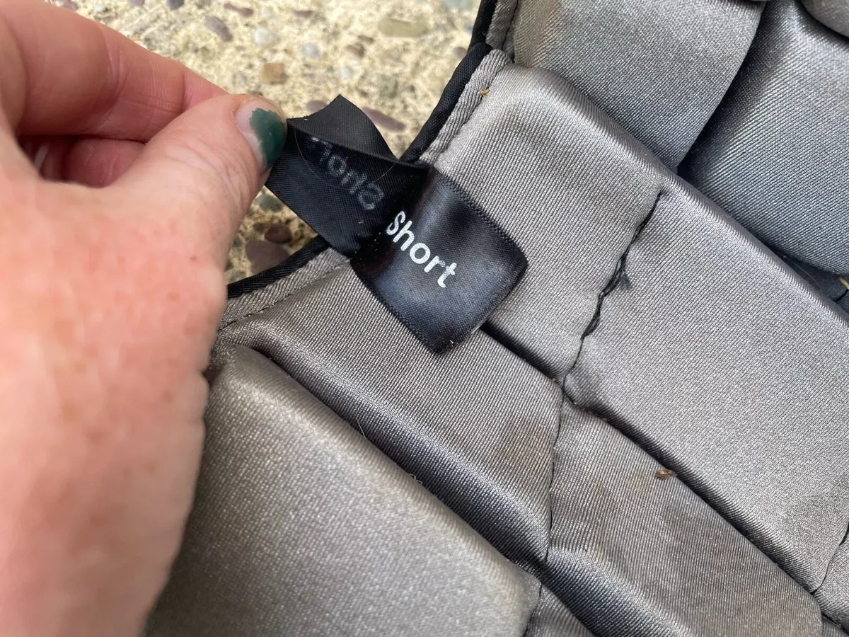Champion back protector - Image 3