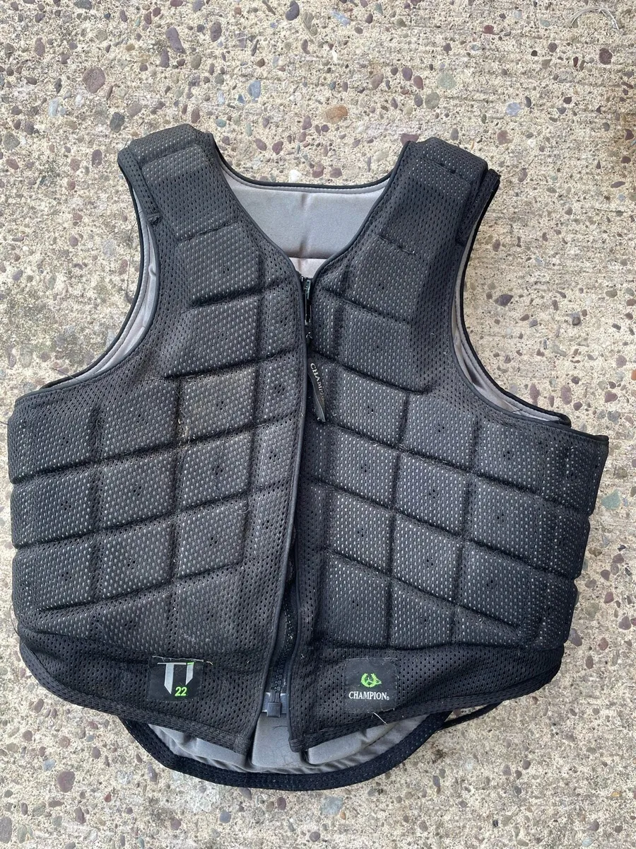 Champion back protector - Image 1