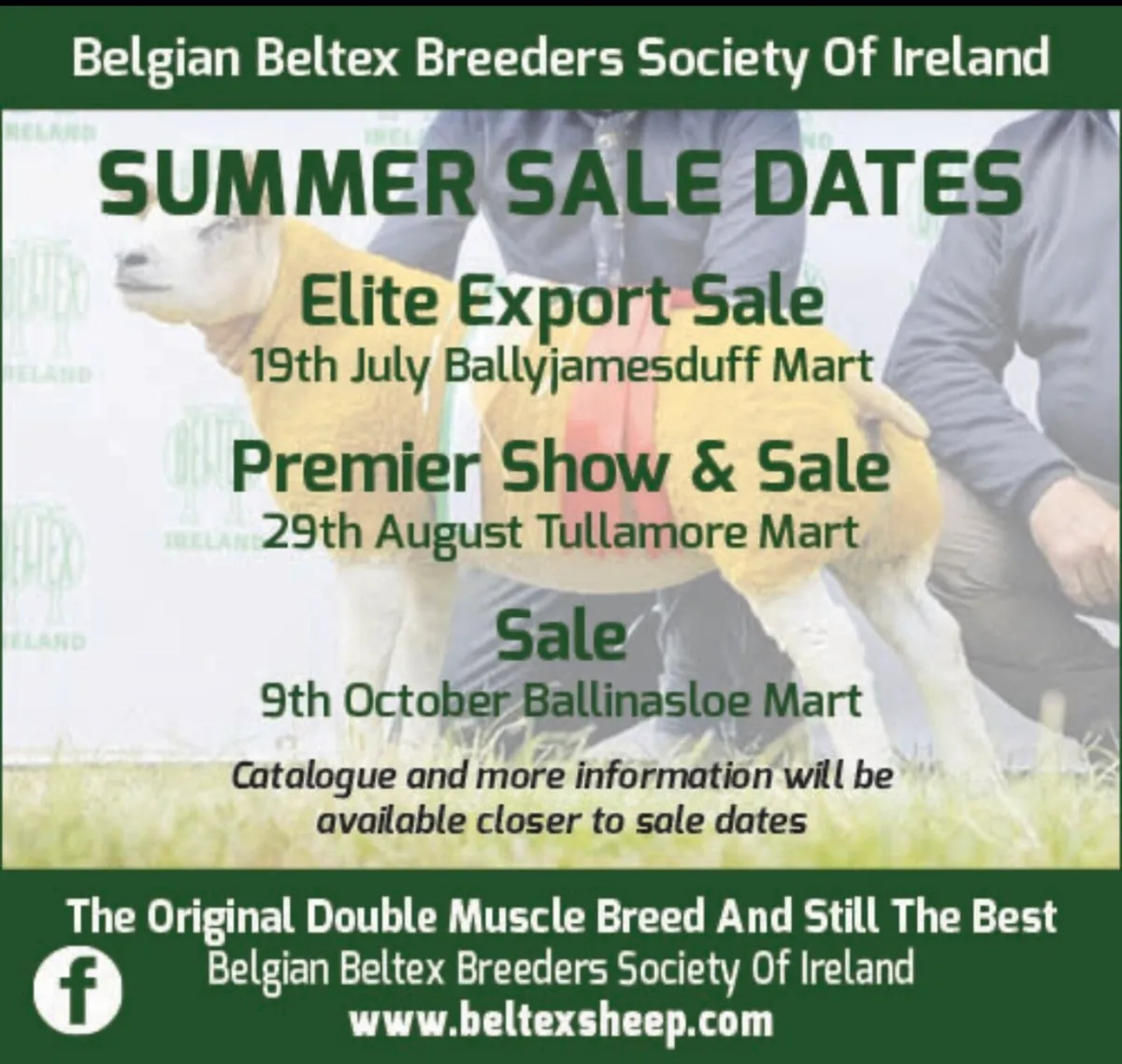 BELTEX SALES