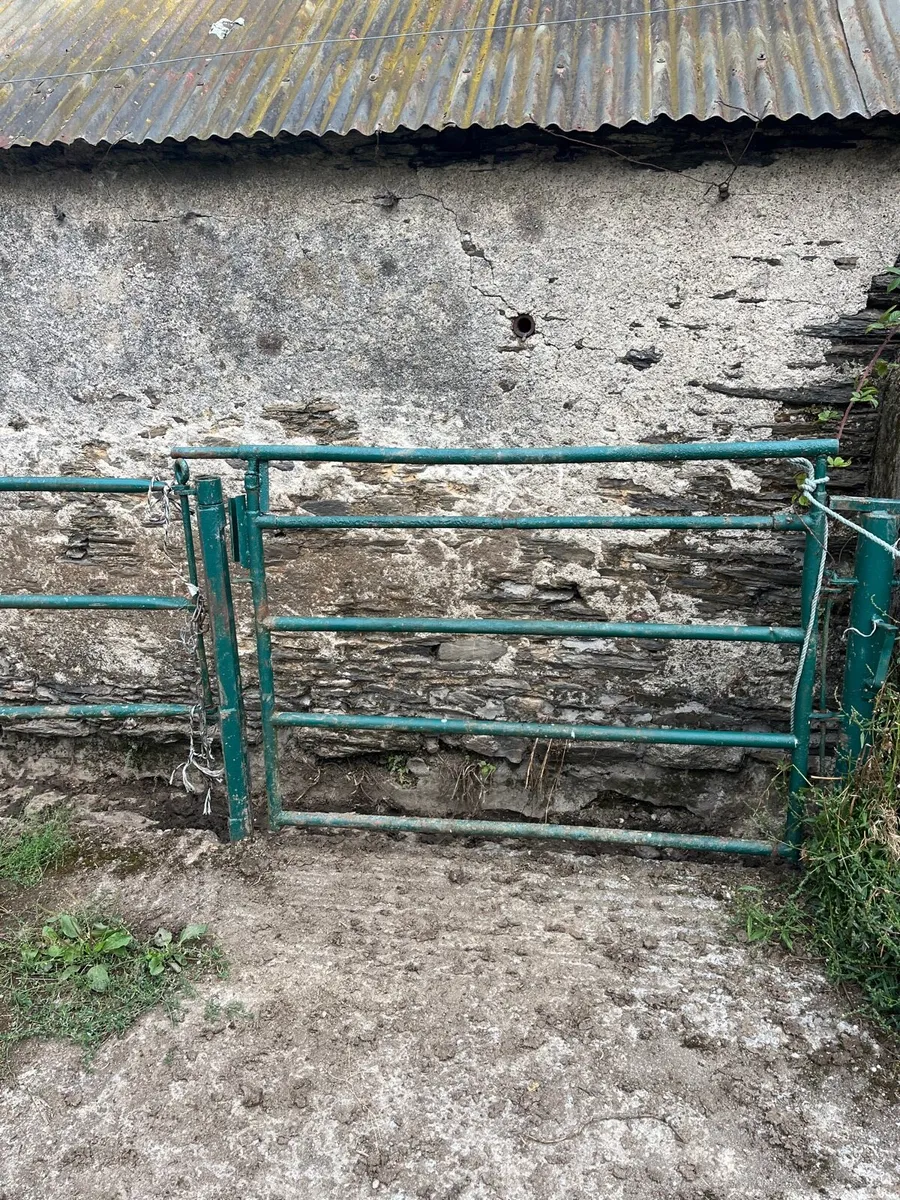 Cattle crush - Image 1