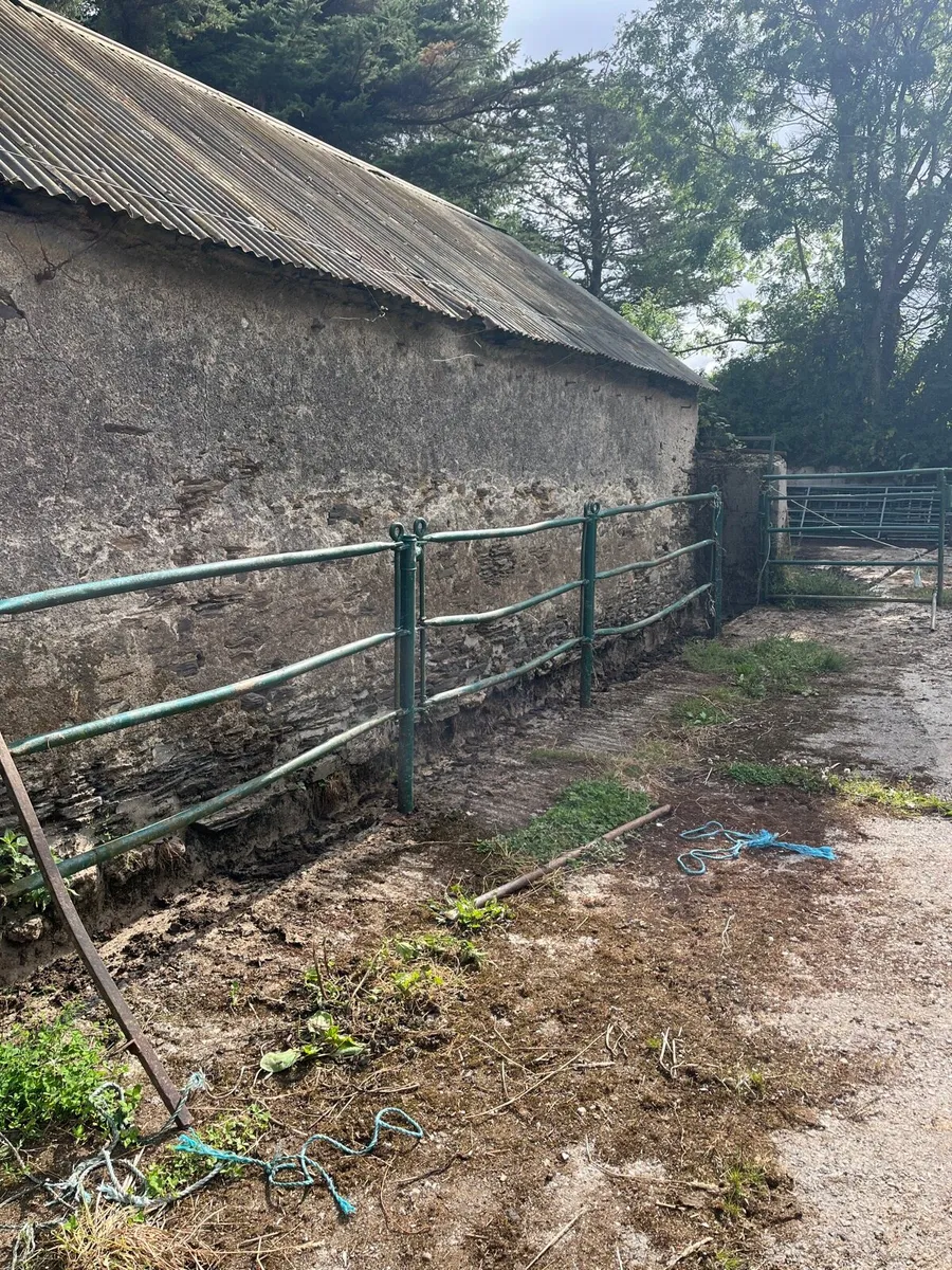 Cattle crush - Image 2