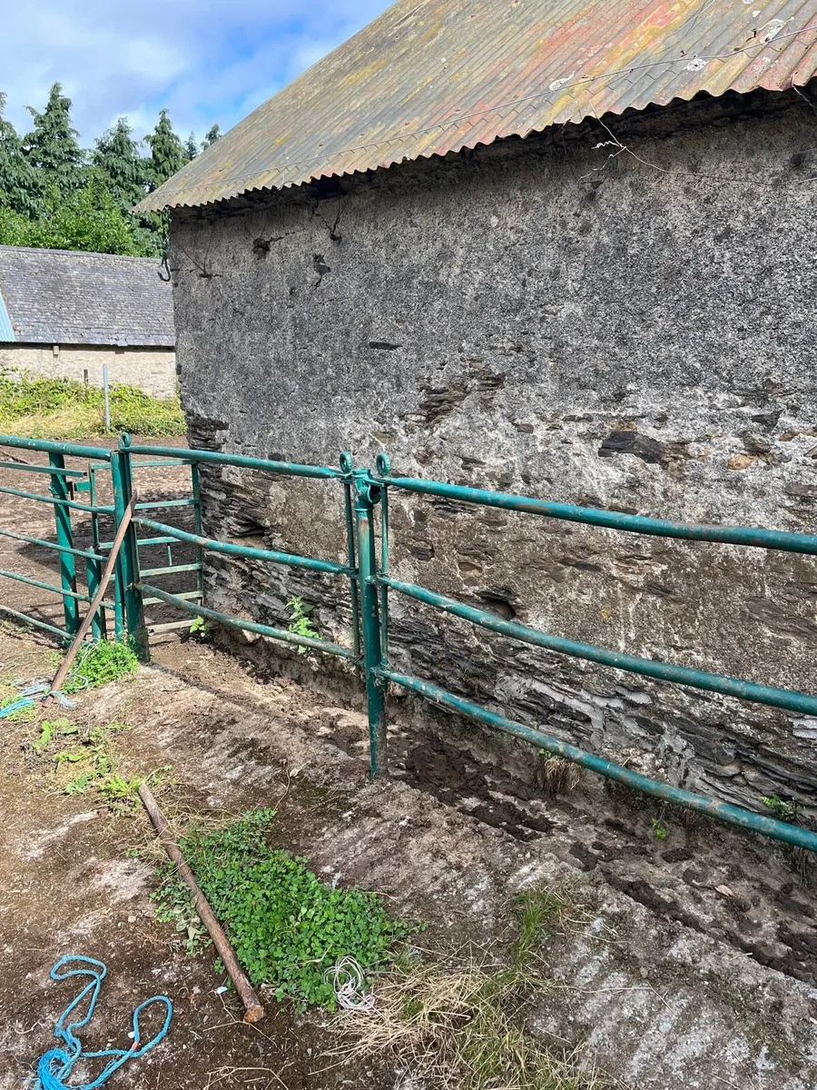 Cattle crush - Image 3