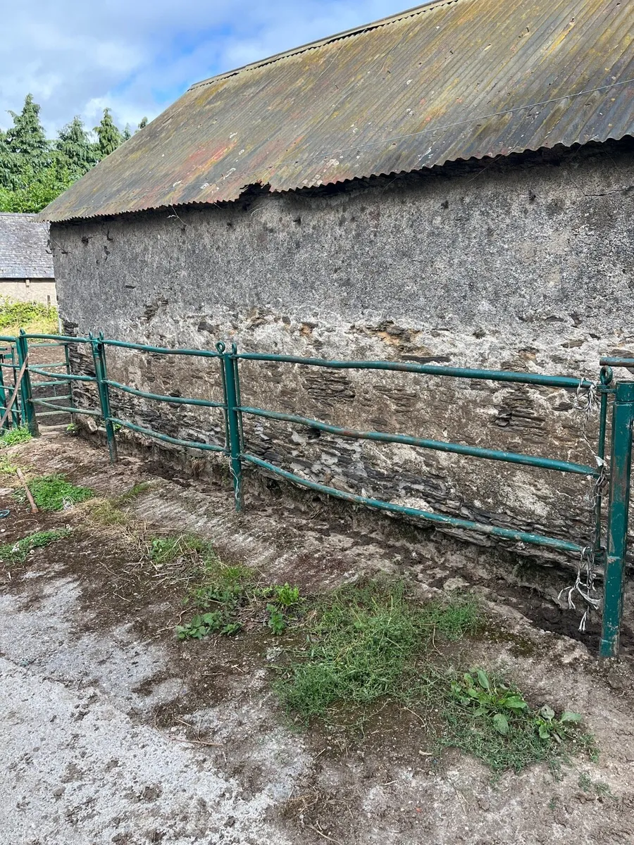 Cattle crush - Image 4