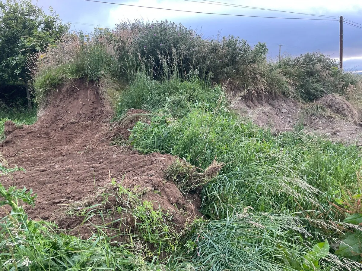 Top soil 50-60 ton top quality available - Image 2