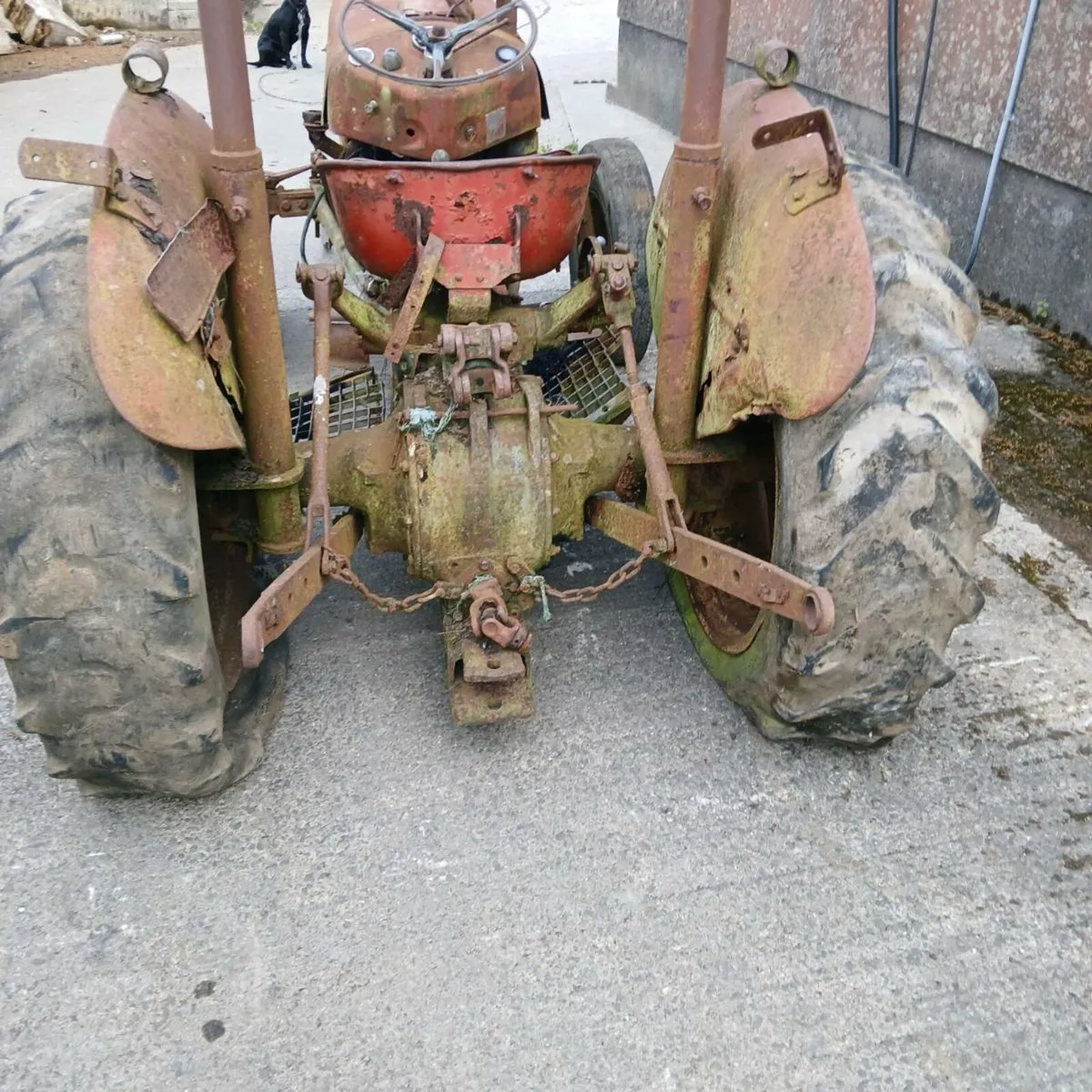 Massey ferguson 35 (3 cylinder) - Image 3