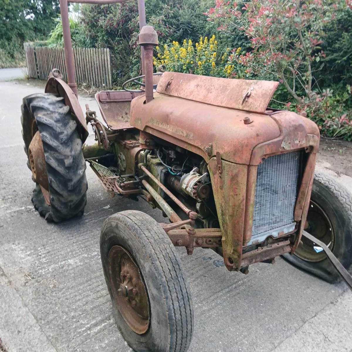 Massey ferguson 35 (3 cylinder) - Image 4