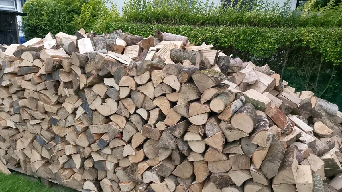 Timber - Image 1