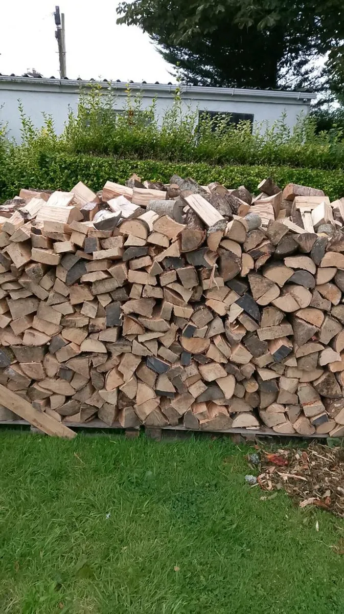 Timber - Image 2