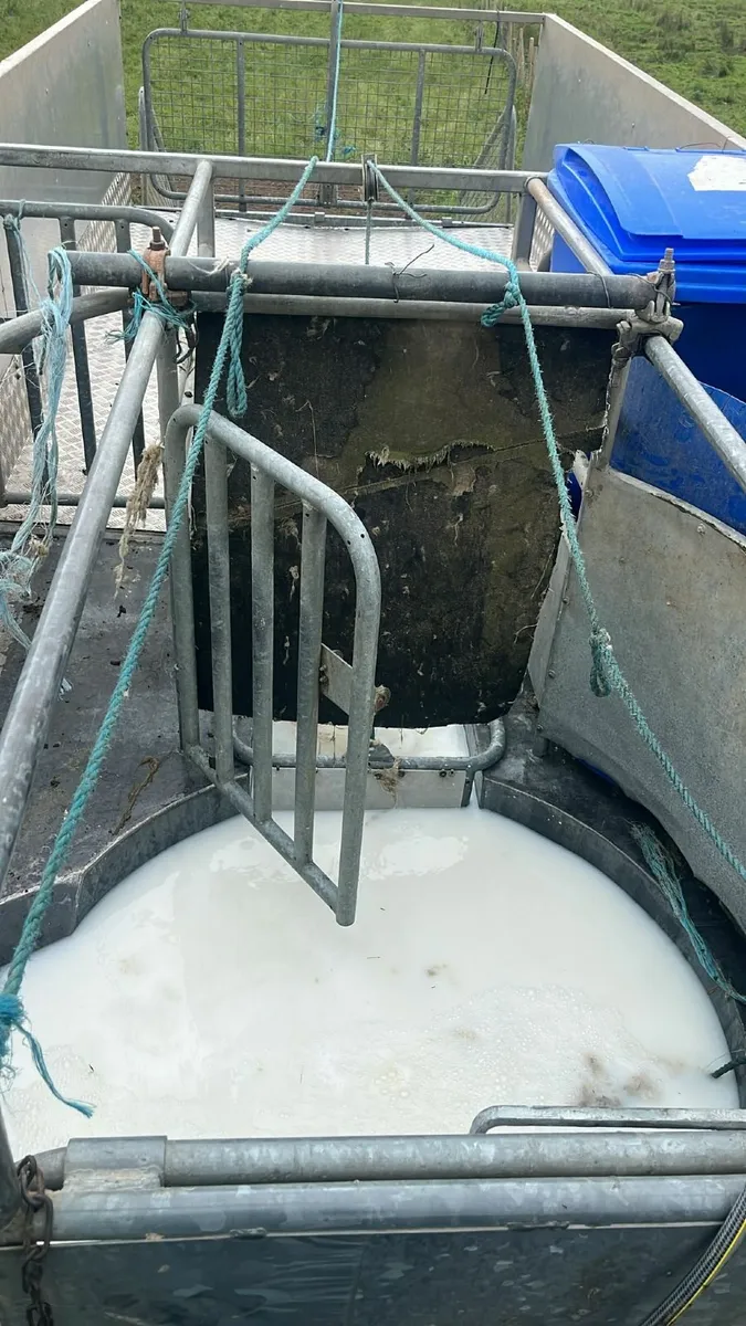 McEvoy dipping service