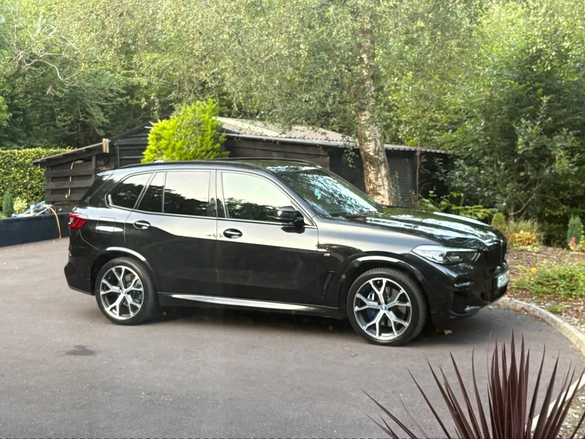 BMW X5 2023 XDrive 3.0L D M Sport - Image 2