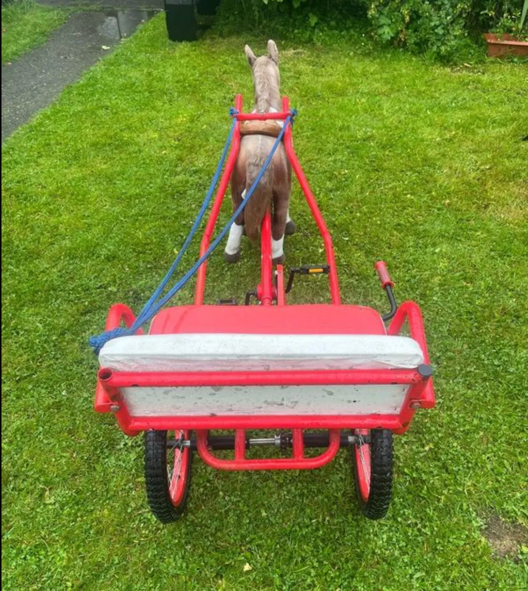 Go kart an horse - Image 4