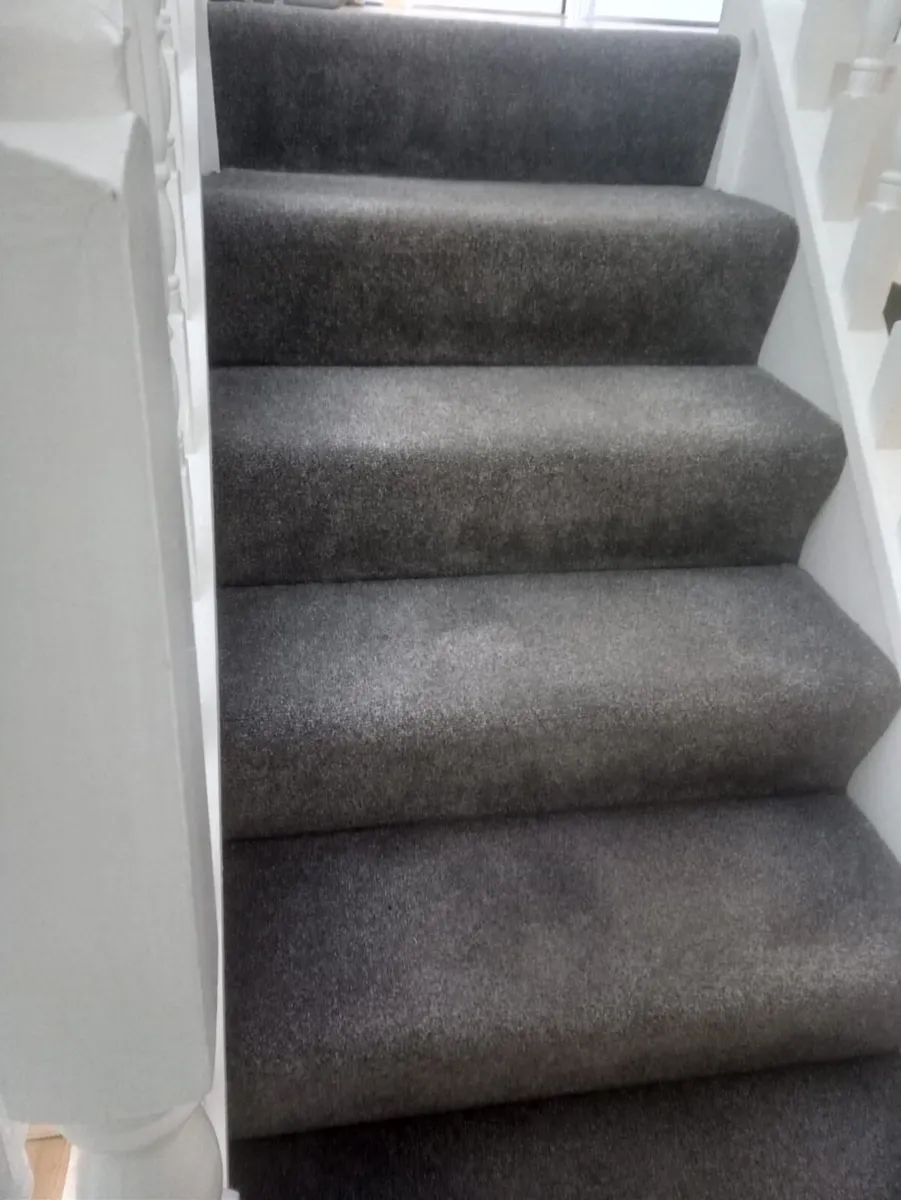 Carpet - Image 1