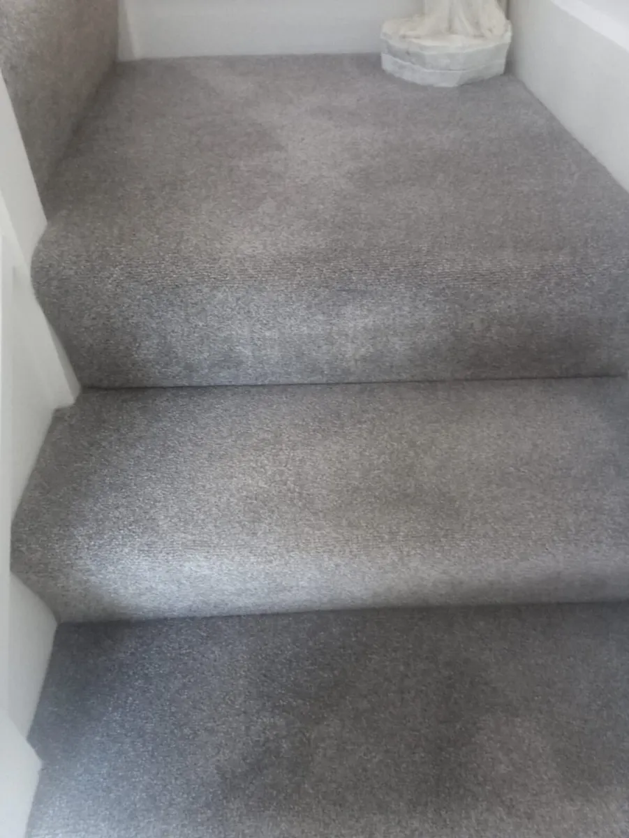 Carpet - Image 2