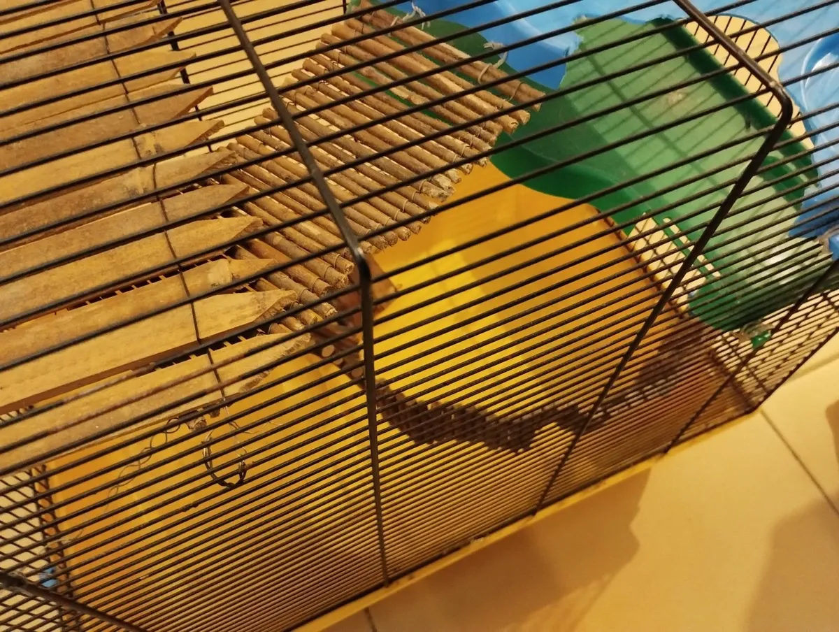 Hamster cage gerbil rabbit guinea pig crate kennel - Image 4