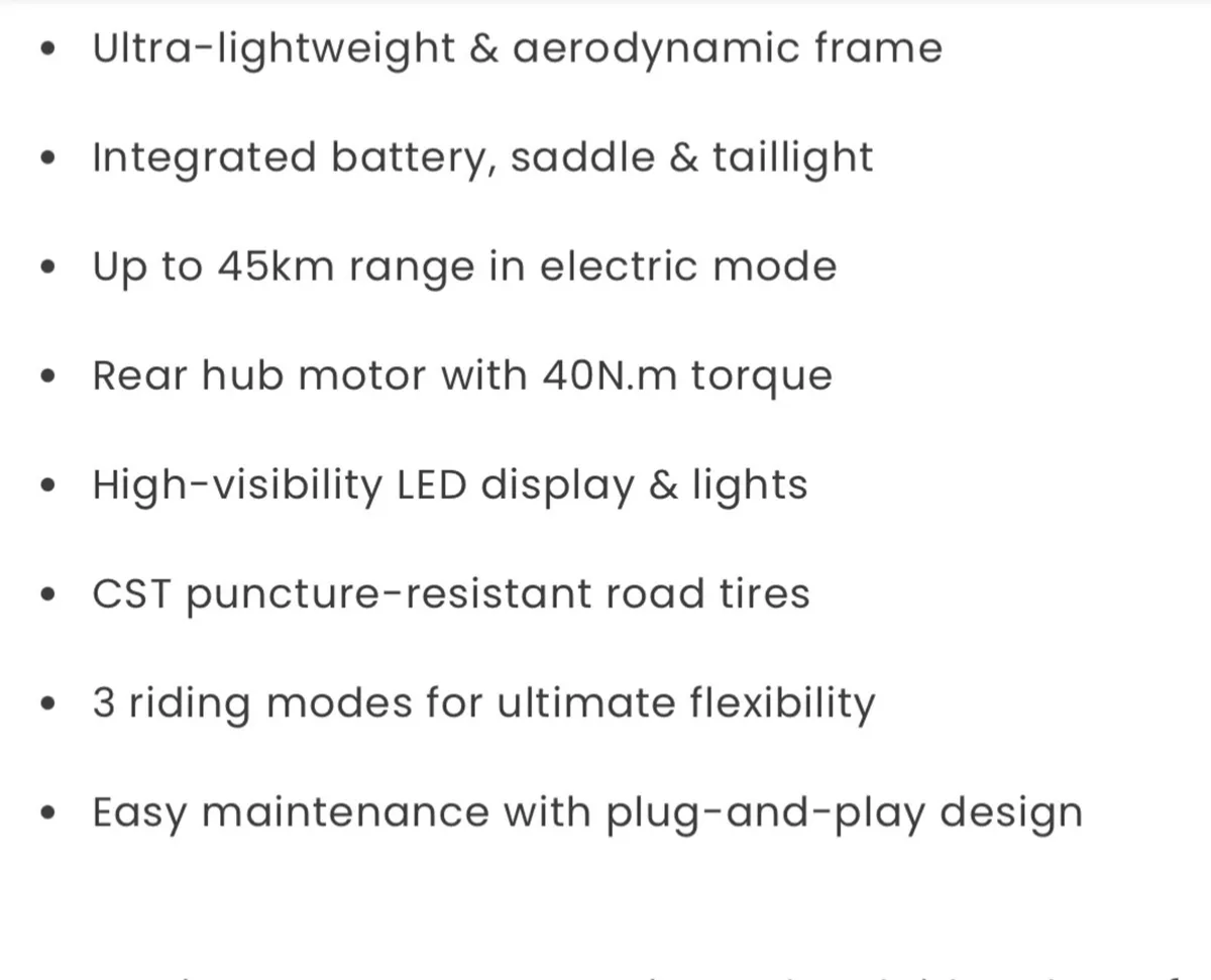 Electric Bike - Image 3