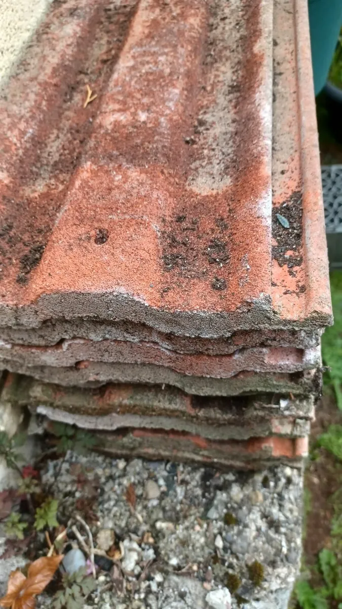 Roof tiles - Image 2