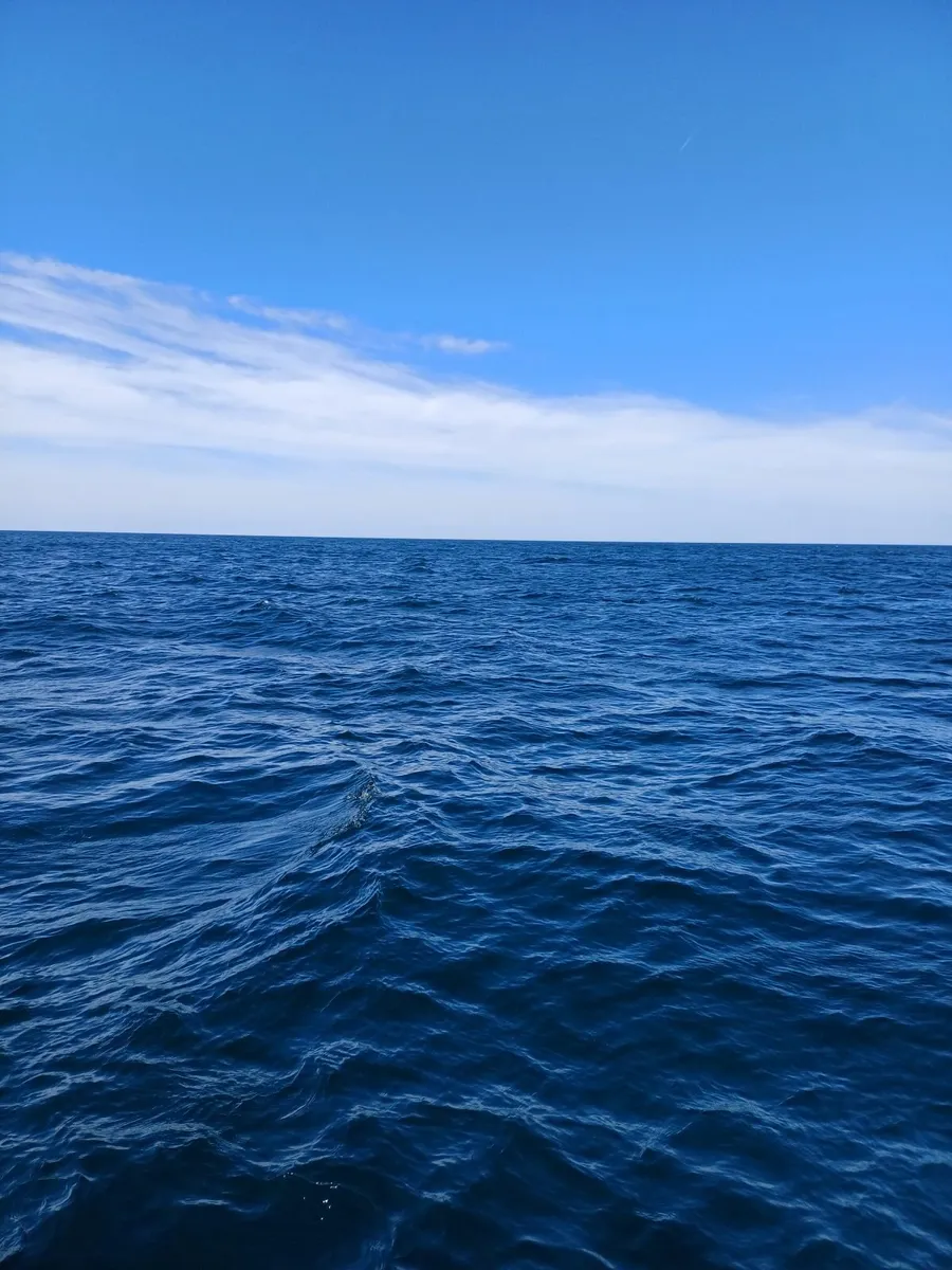 Deep Sea Fishing trip Saturday 9th August 2025 - Image 2