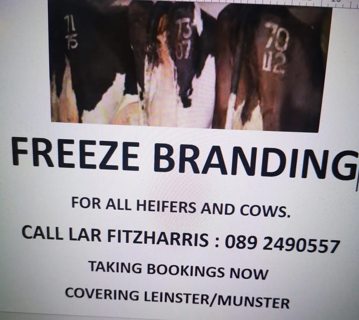Freeze branding