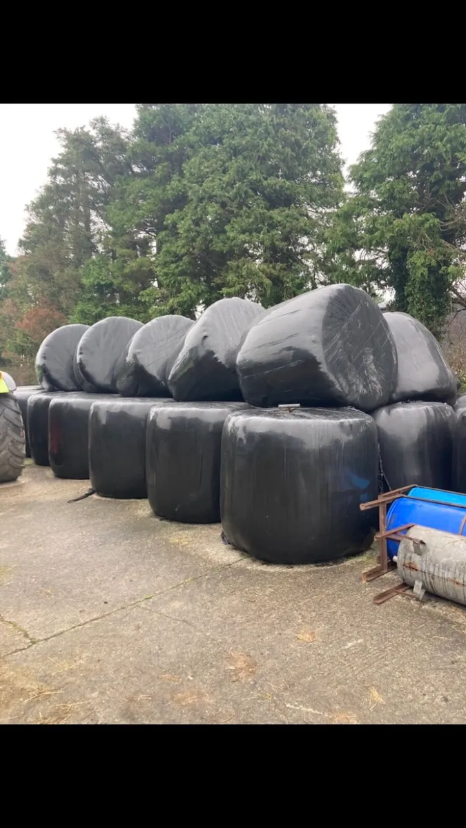 40 silage bales - Image 2
