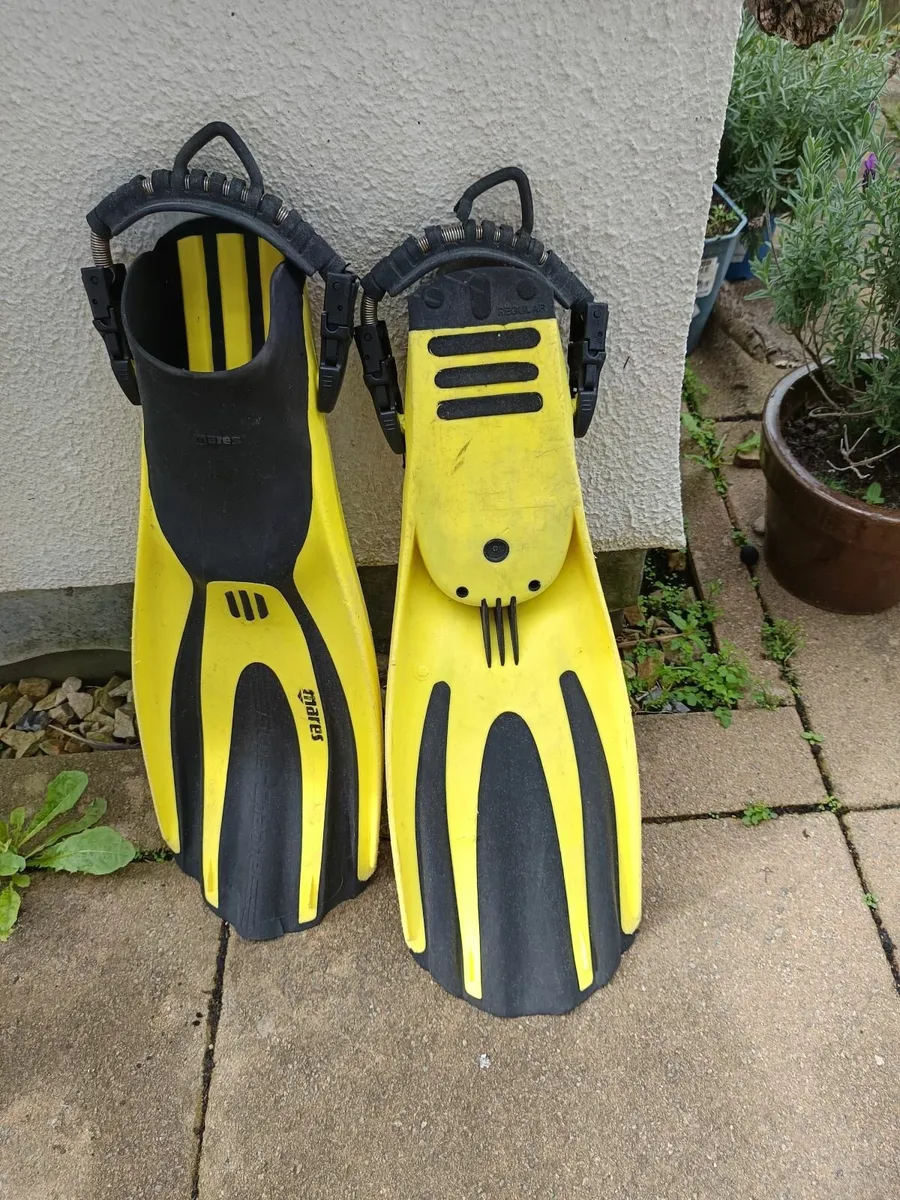 Scuba diving - fins, gloves, hood, shortie - Image 1