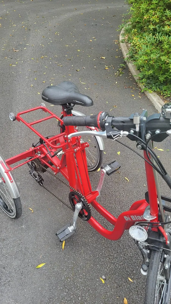 DiBlasi R34 Electric folding Trike, adult tricycle - Image 2