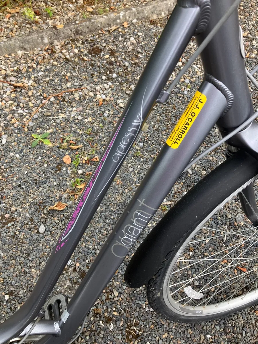 Ladies Giant Bicycle. - Image 1
