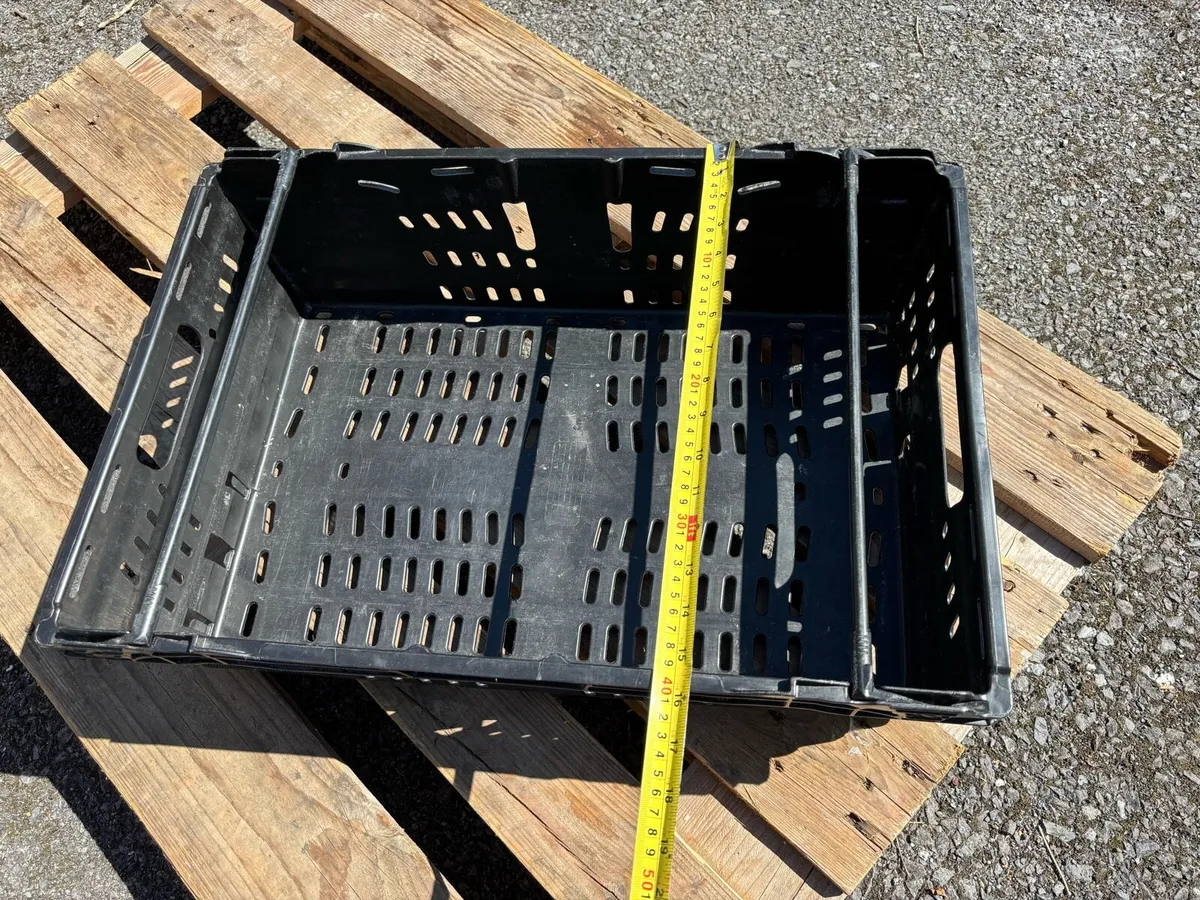 Crates - Image 2