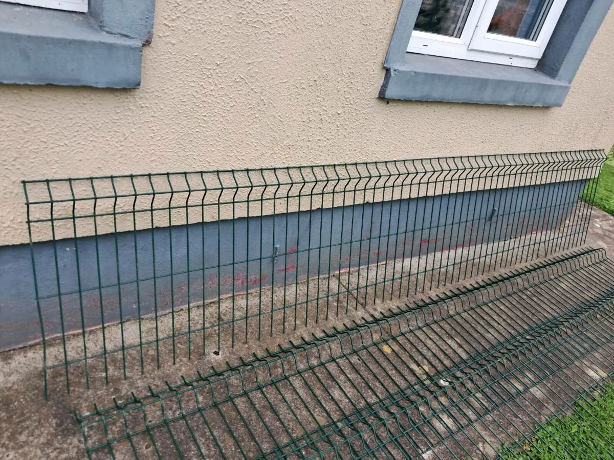 Fencing - Image 3