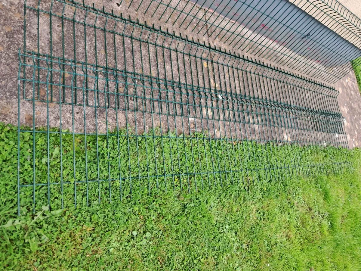 Fencing - Image 4