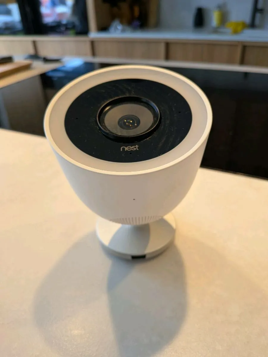 Nest IQ Outdoor Camera - Image 3
