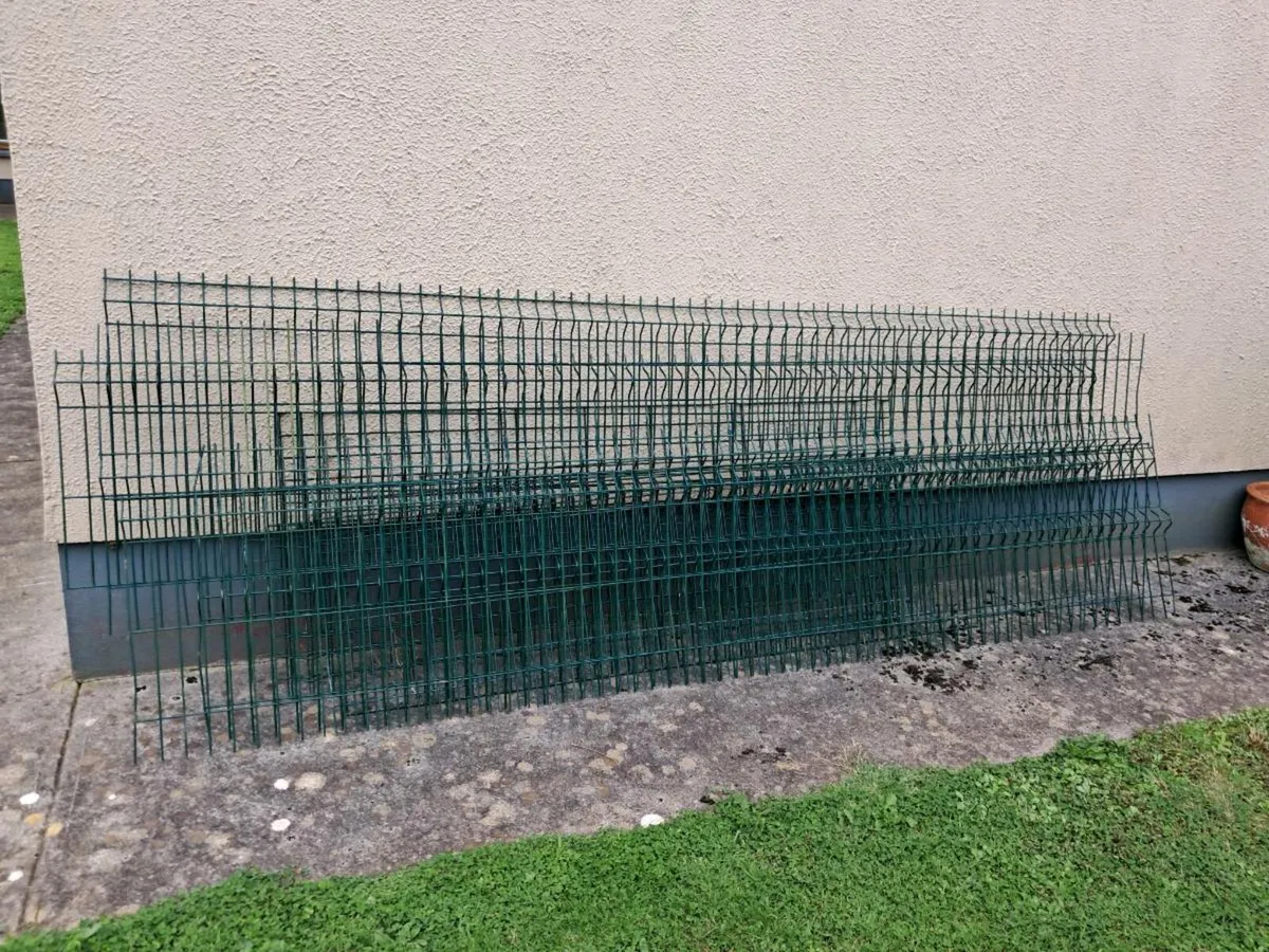 Fencing - Image 1