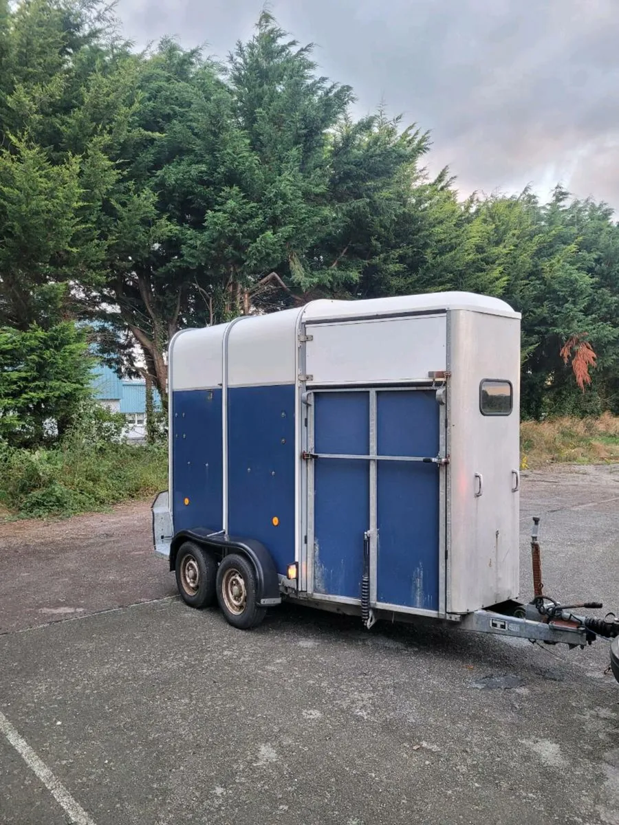 Ifor Williams 505 horse box - Image 1