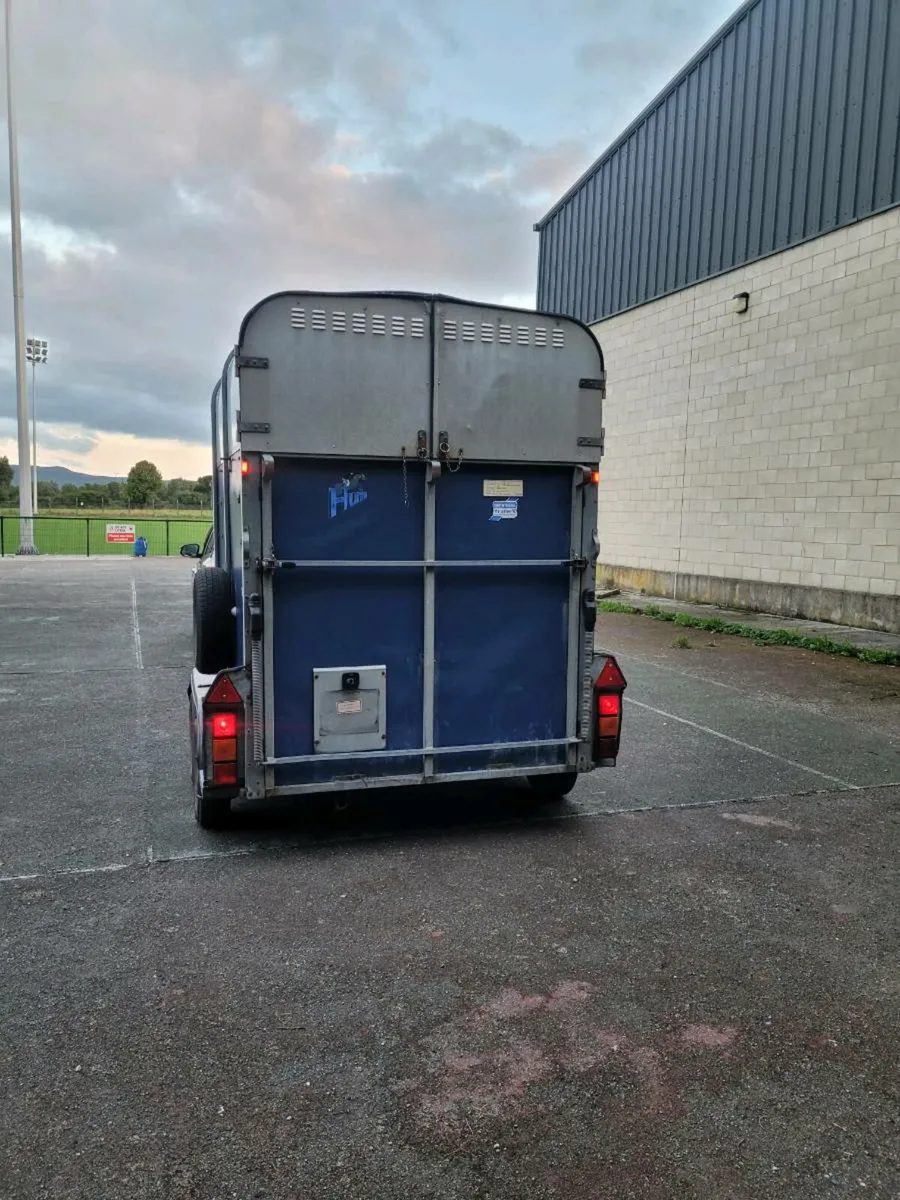Ifor Williams 505 horse box - Image 2