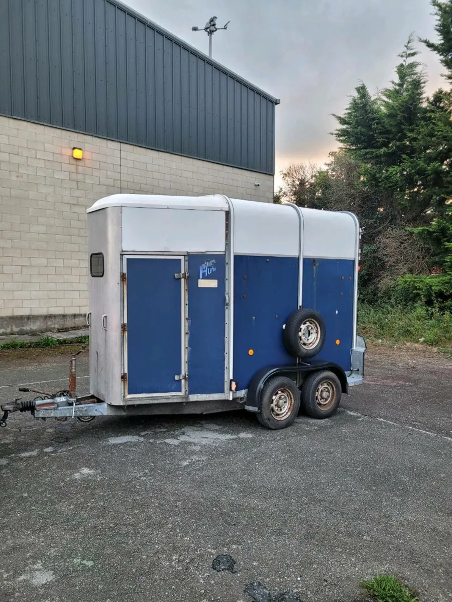 Ifor Williams 505 horse box - Image 3