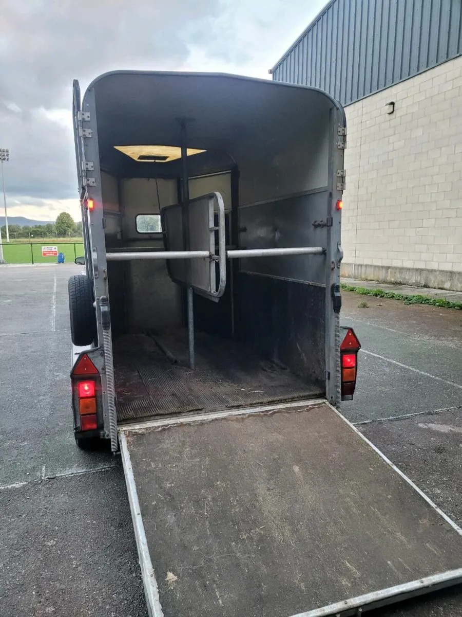 Ifor Williams 505 horse box - Image 4