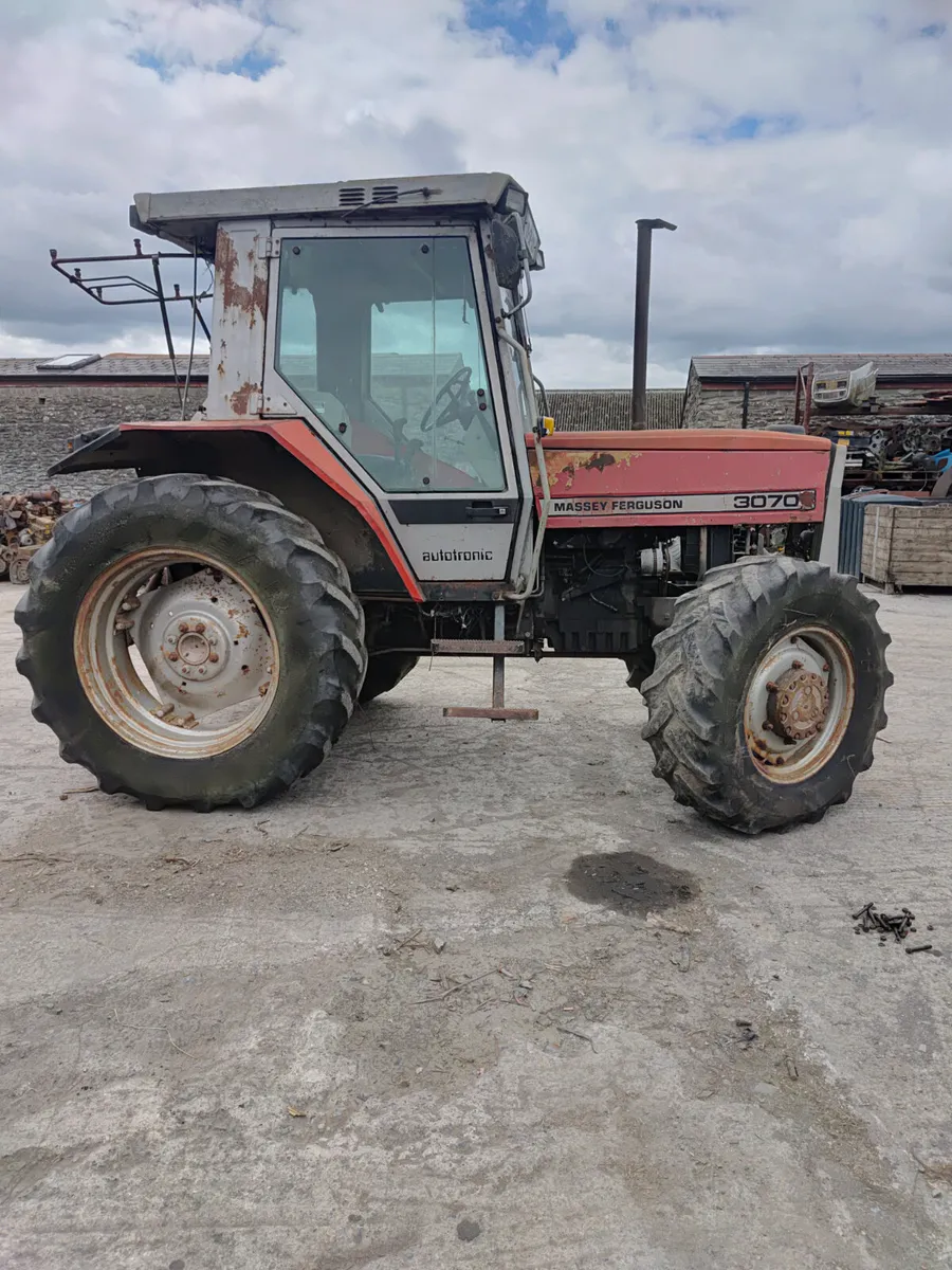 Massey ferguson - Image 3