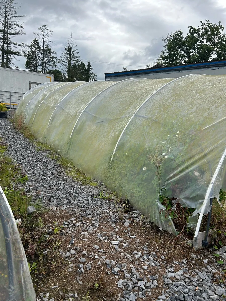Poly tunnels - Image 2
