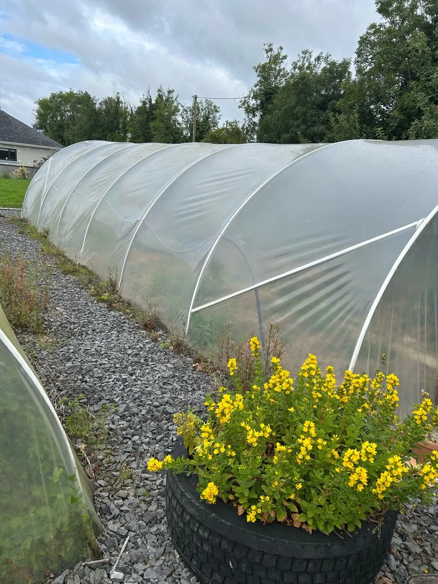 Poly tunnels - Image 3