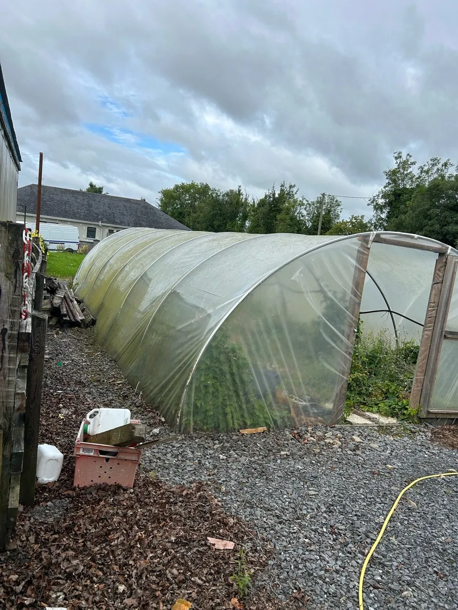 Poly tunnels - Image 4