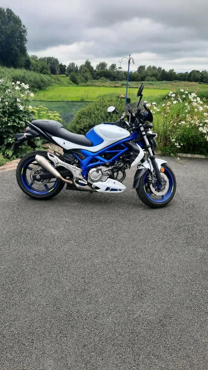 Suzuki gladius - Image 1
