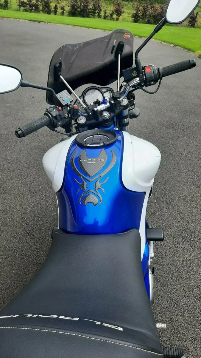 Suzuki gladius - Image 2