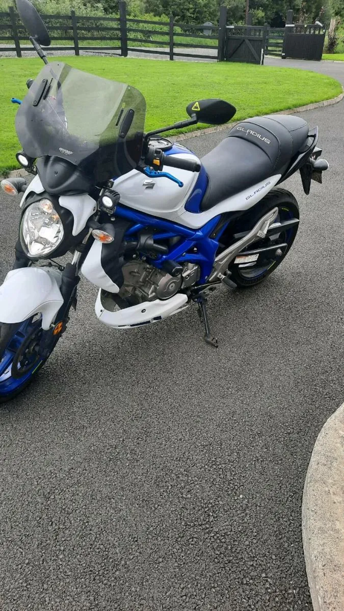 Suzuki gladius - Image 4
