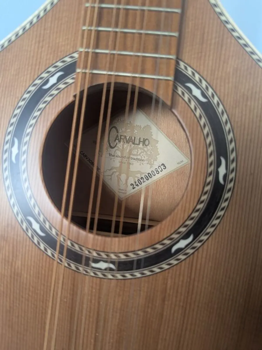Carvalho 308MOC Octave Mandolin - Image 2