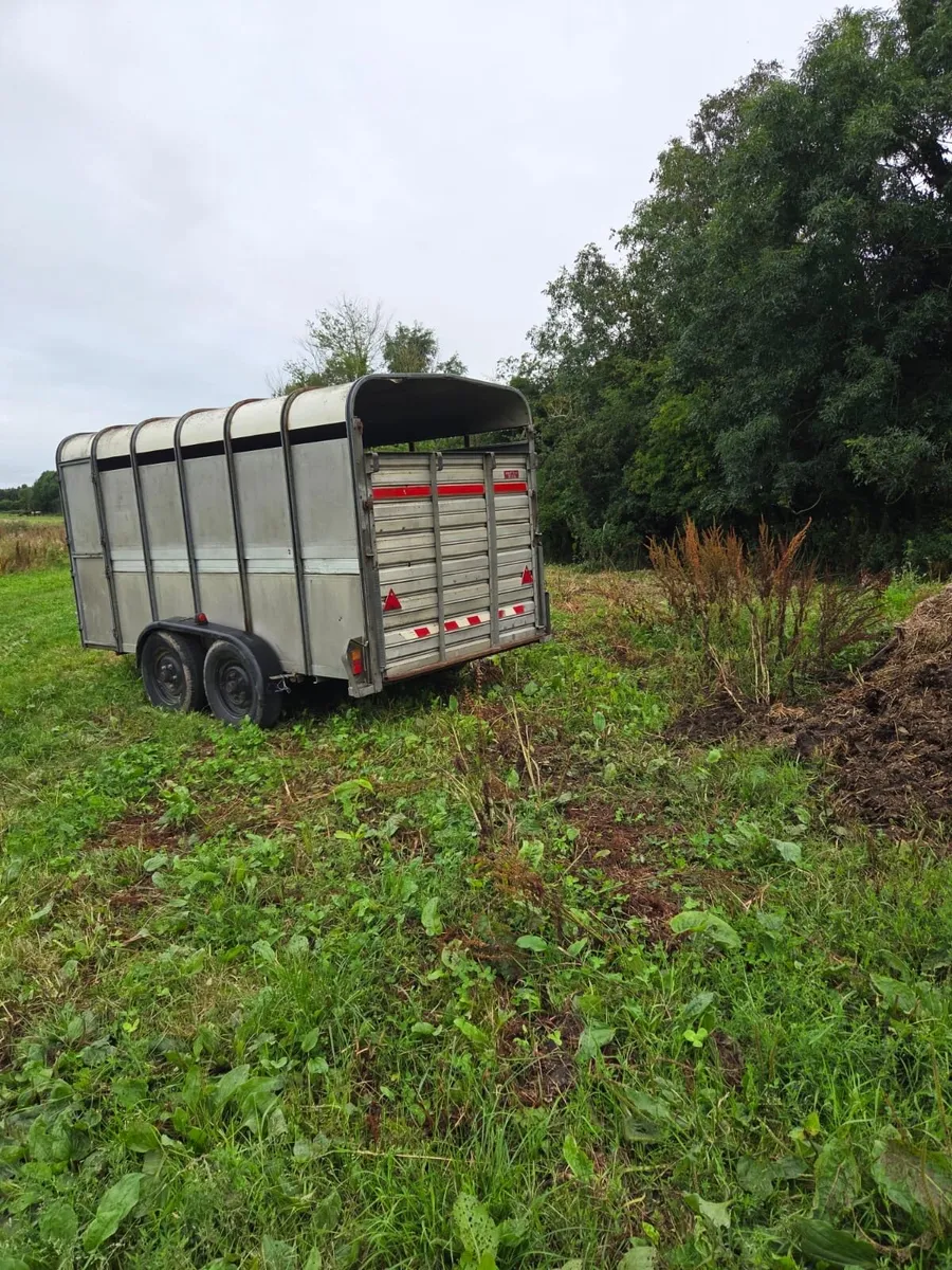 Cattle trailer - Image 1