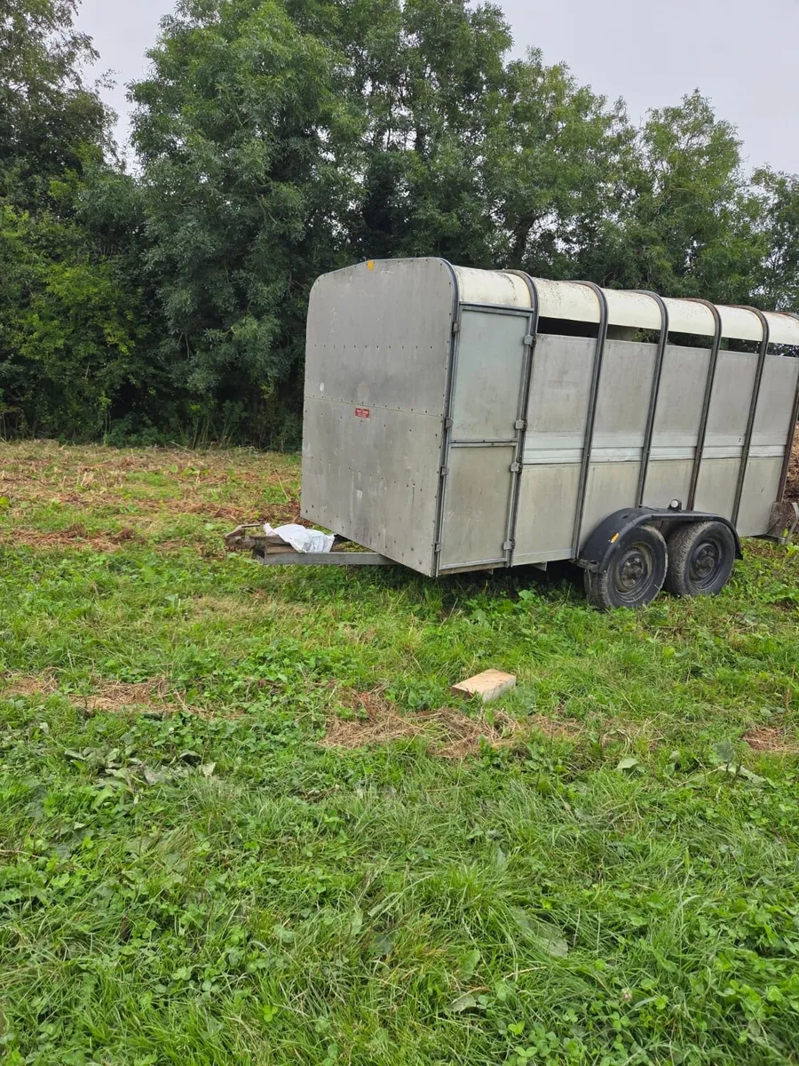 Cattle trailer - Image 2