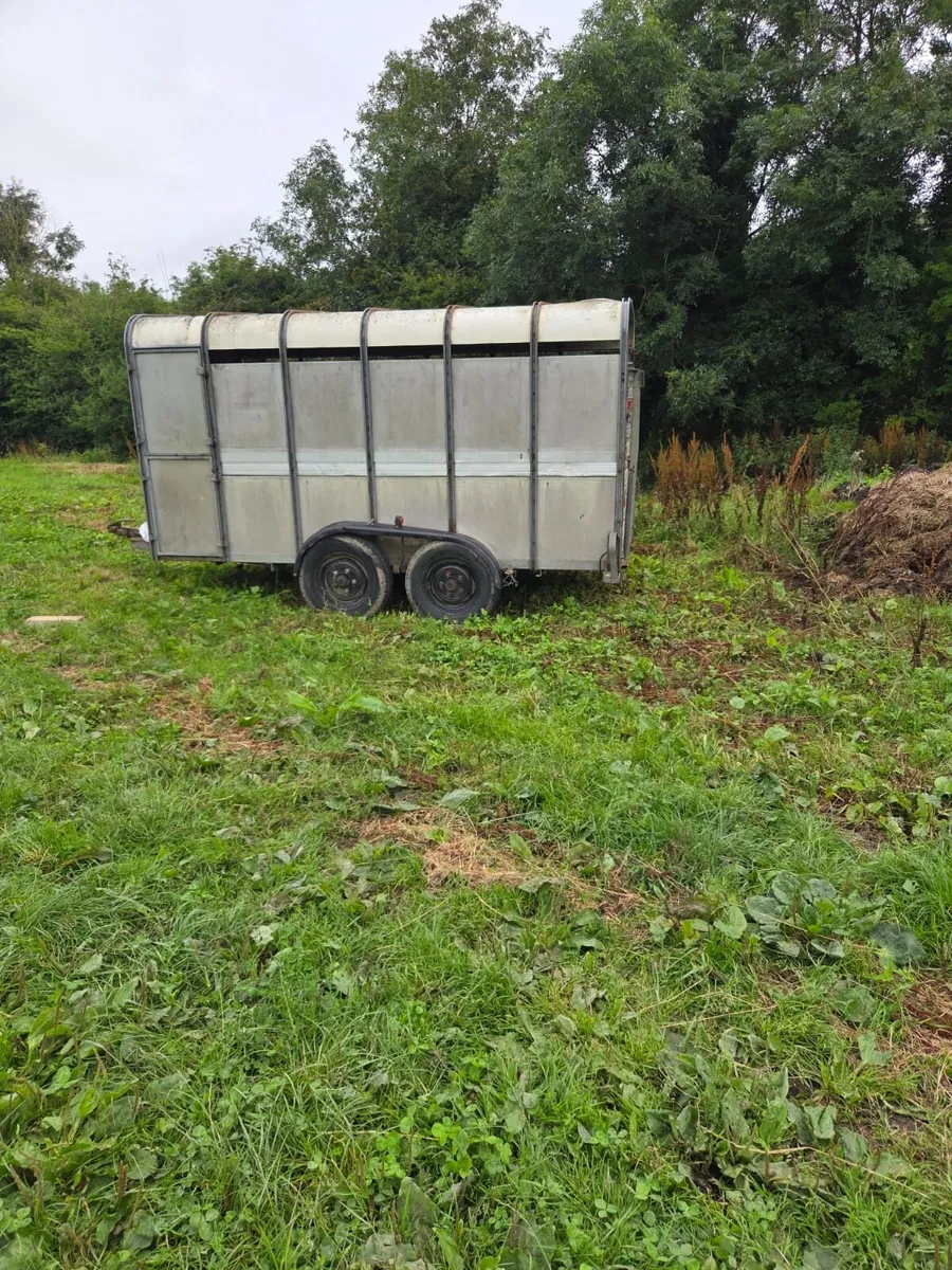 Cattle trailer - Image 3