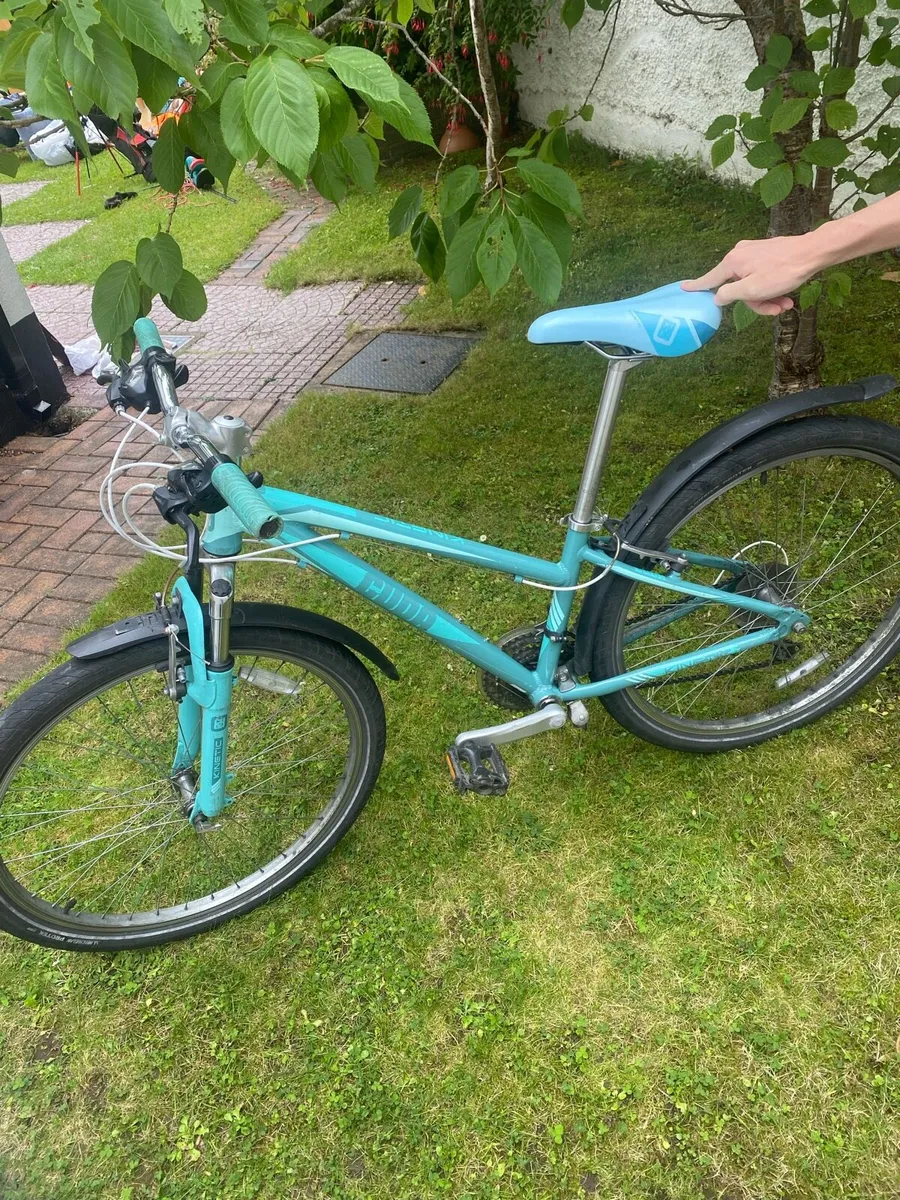 Bike - Image 1