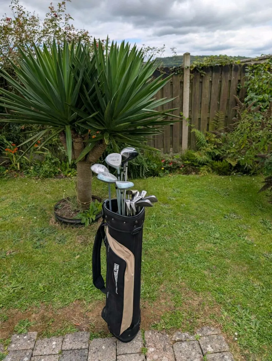Ladies/ woman's Golf clubs - Image 1