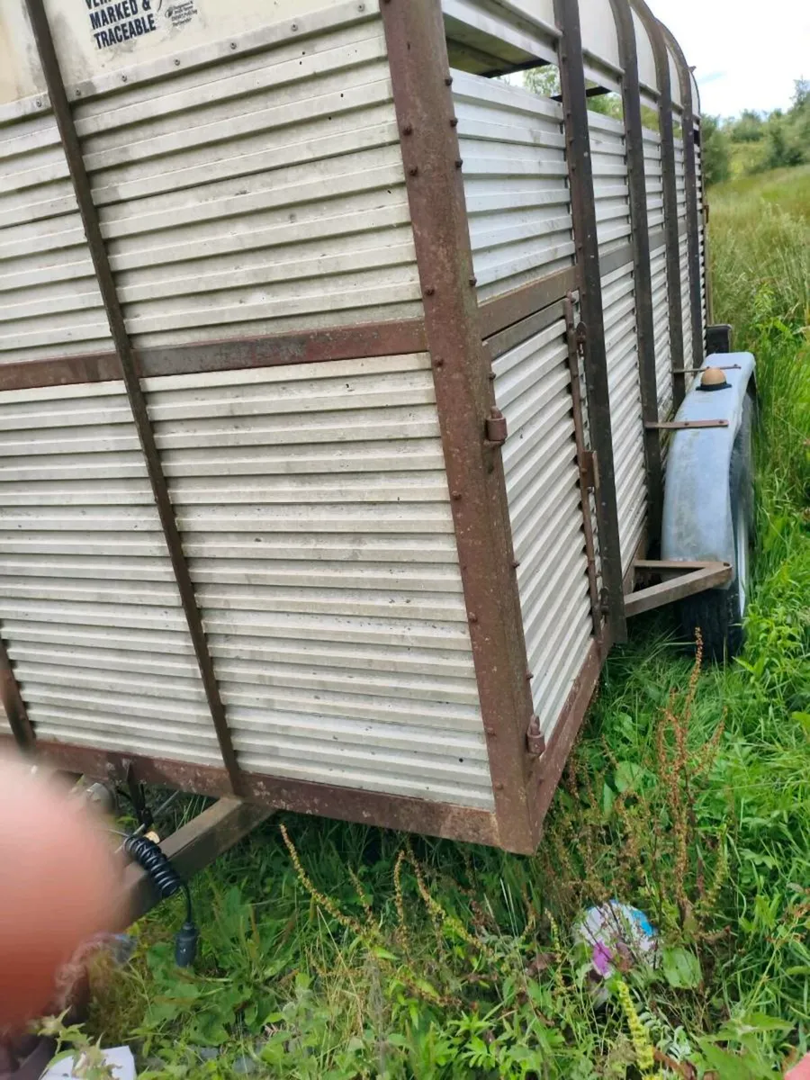 Hamilton 12x6 Cattle Trailer - Image 3