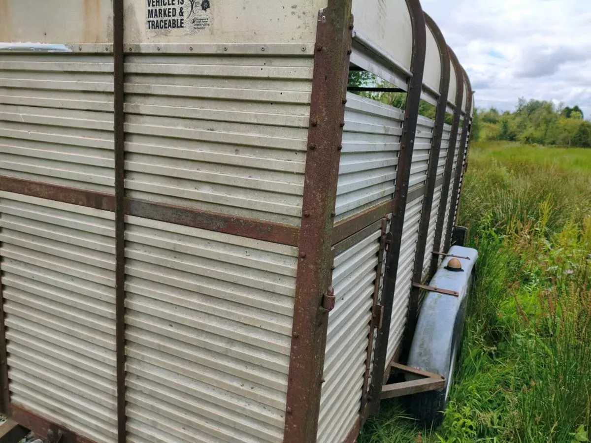 Hamilton 12x6 Cattle Trailer - Image 4
